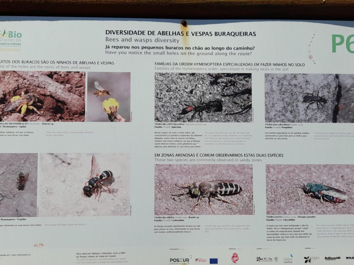 Casa Da Varanda Carreco Eksteriør billede